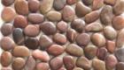 Mosaic of stone and pebbles: master class