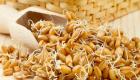 Wheat sprouts for weight loss and cleansing Sprouted wheat to lose weight