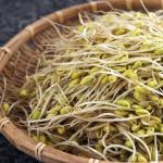 How to properly use sprouted seeds and sprouts?